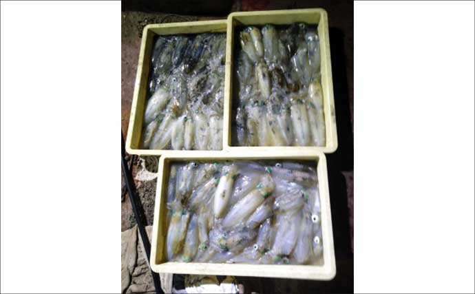 丹後半島タイラバの高実績ユニットとは？　関西の「知って得する」船釣り特選情報6選