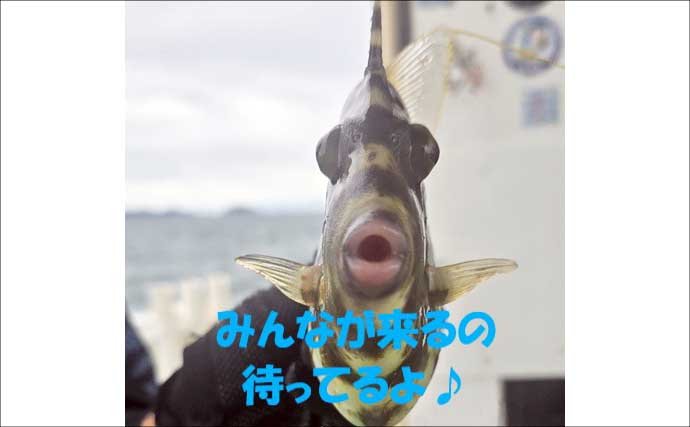 丹後半島タイラバの高実績ユニットとは？　関西の「知って得する」船釣り特選情報6選