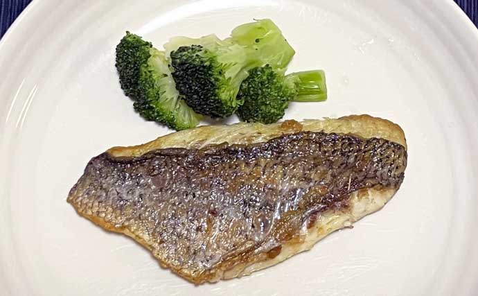 「鯛めしが食べたい！」漁港ランガン落とし込み釣りでクロダイを狙う【知多半島】