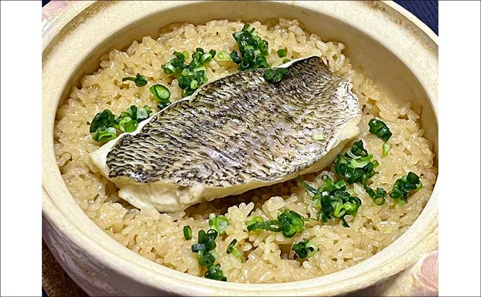 「鯛めしが食べたい！」漁港ランガン落とし込み釣りでクロダイを狙う【知多半島】