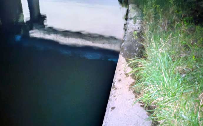ベイトが消えた河川をどう釣る？　最後に狙った「足元」でヒラスズキ＆シーバスが連続ヒット