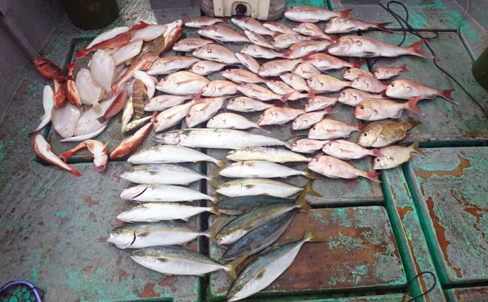 25kgキハダマグロ浮上！パヤオでのジギングにヒット【沖のルアー釣果速報7選・三重】