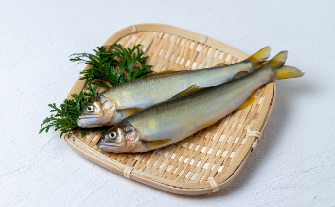 キスの天ぷらが「めちゃくちゃ臭い」？　食べるまで分からない“ハズレ個体”の正体とは