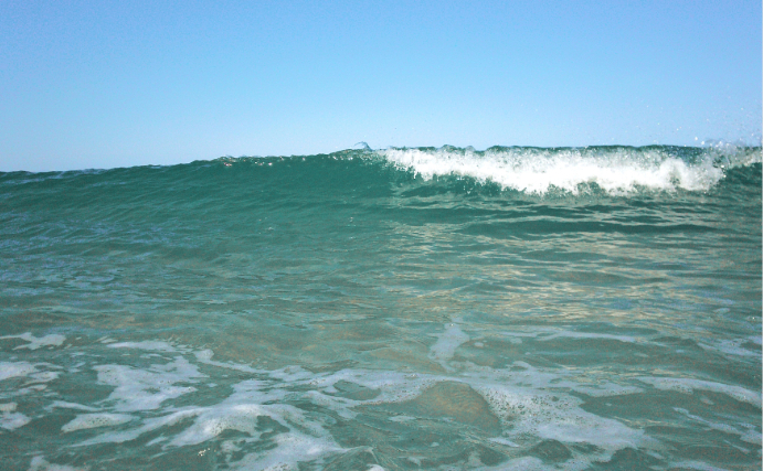 カリフォルニアで海面が「最大36cm」上昇？ 原因とされるエルニーニョの影響とは