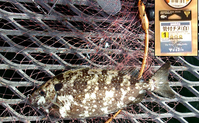 「小アジが全く釣れない…」 狙いと仕掛けを変えたら34cmウマヅラハギ登場！【須磨海づり公園】