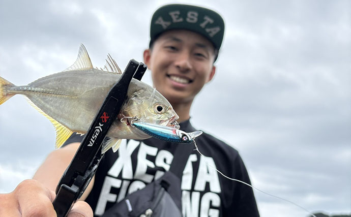 潮位が50cm上がるとメッキが消えた？ 上流へ移動すると再び魚影を発見【南伊豆】