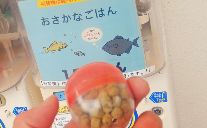 淡水大型魚の日本記録保持者が「さいたま水族館」へ！　憧れのコクレンを前に釘付け