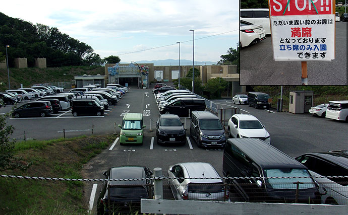 タチウオは釣れたのに反省点だらけ？ 『とっとパーク小島』初挑戦で分かった半夜釣り「6つの注意点」