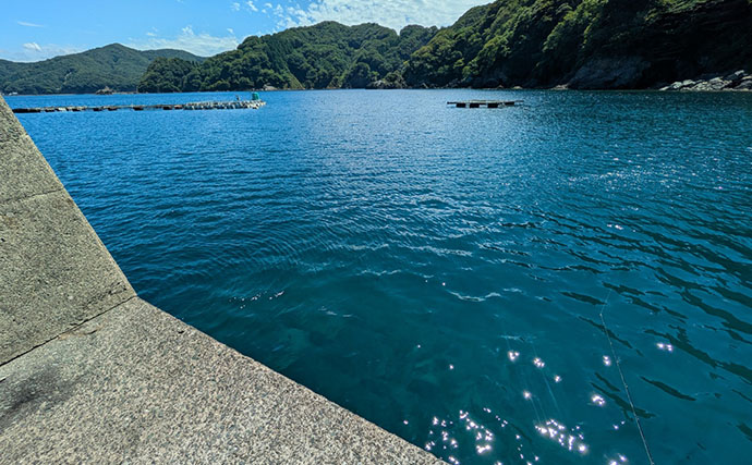 根魚狙いなのに「足元」で全く釣れない？ 沖の深場へフルキャストしてアオハタ17匹