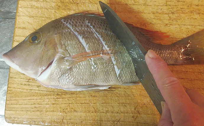 釣魚で作る「夏バテ対策」レシピ：タバメのサッと煮　丸ごと調理がポイント