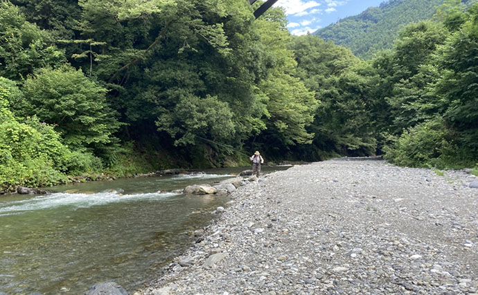 何度流しても食わない「スレたヤマメ」をどう釣る？ オモリを外した途端に18cmがヒット【奥多摩】