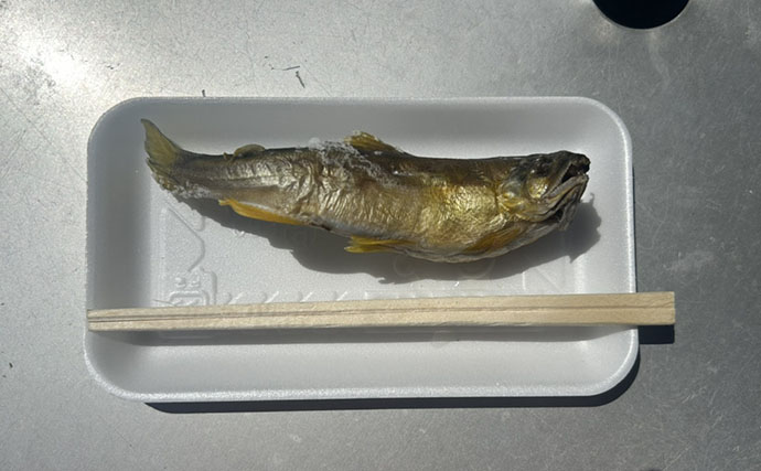 「高速代が0円！」 下道で往復600km走る大学生アングラー流【釣り遠征の道中の楽しみ方】