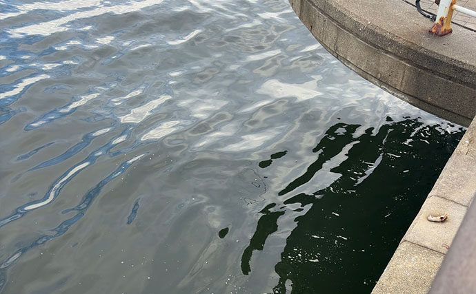 「チヌ＝浅場のボトム」は思い込み？ 水深のある港湾部で効く意外なワームの狙い方