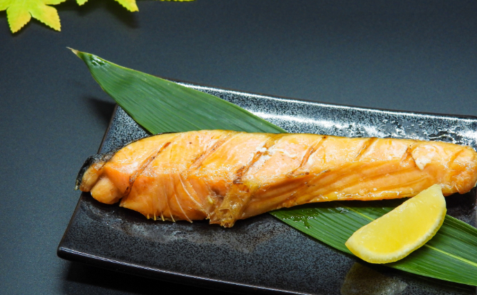 「暑さに強いギンザケ」が誕生！ 冷たい海を好む魚を日本で養殖するための切り札に？