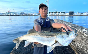 8cmのイワシに「8cmミノー」を合わせると69cmシーバスがヒット！…
