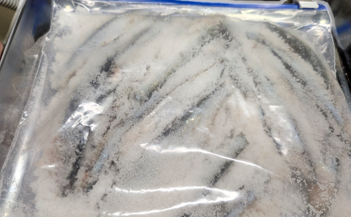 業務スーパー「バルト海いわし（248円）」がタチウオ釣りの優秀エサになるって本当？