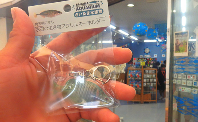 淡水大型魚の日本記録保持者が「さいたま水族館」へ！　憧れのコクレンを前に釘付け