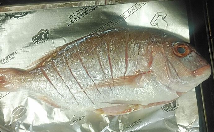 釣魚で作る「秋の味覚」レシピ：小型マダイの丸干し　塩は少なめでOK