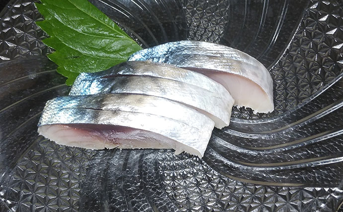 釣魚で作る「保存食」レシピ：冷凍しめサバ　少量の塩に酢をたっぷり