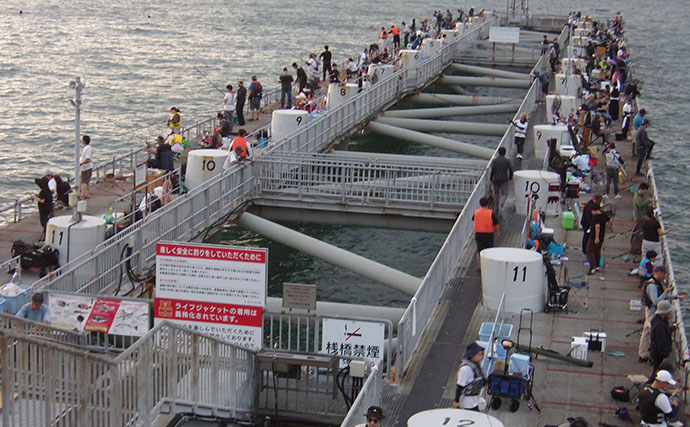 タチウオは釣れたのに反省点だらけ？ 『とっとパーク小島』初挑戦で分かった半夜釣り「6つの注意点」