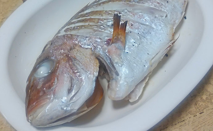 釣魚で作る「秋の味覚」レシピ：小型マダイの丸干し　塩は少なめでOK