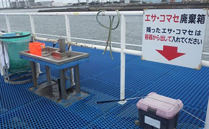 潮止まりは無反応でも潮が動いた途端にサッパ連発！ サビキ釣りで4魚種を手中【千葉】