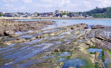 初心者向け磯釣り入門完全ガイド　釣り方・服装・必要な安全装備・注意点をプロが徹底解説