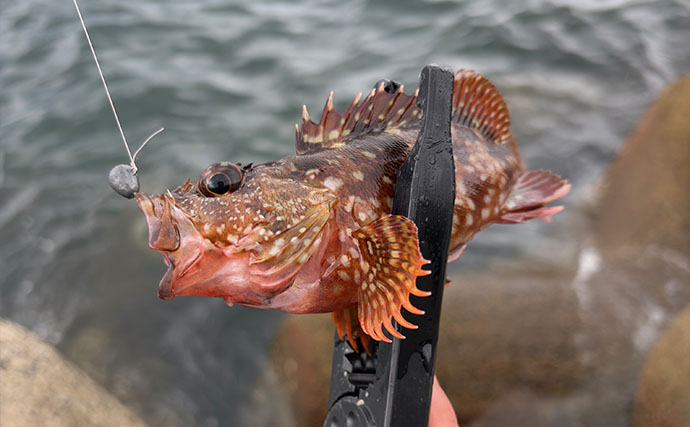 秋なのに「ちょっとマジで釣れないかも・・・」　大阪湾の厄介な”端境期”