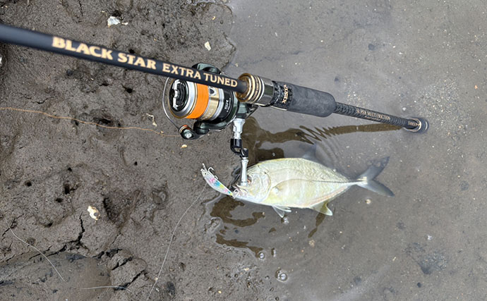 潮位が50cm上がるとメッキが消えた？ 上流へ移動すると再び魚影を発見【南伊豆】