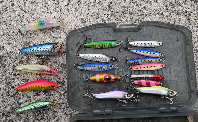 潮位が50cm上がるとメッキが消えた？ 上流へ移動すると再び魚影を発見【南伊豆】
