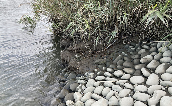 「ハゼは濁りより澄んだ水がお好き？」 透明度が高い沖を狙うと15cm超の良型が続々【木曽川】