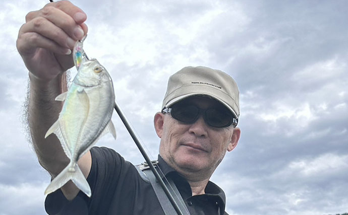潮位が50cm上がるとメッキが消えた？ 上流へ移動すると再び魚影を発見【南伊豆】