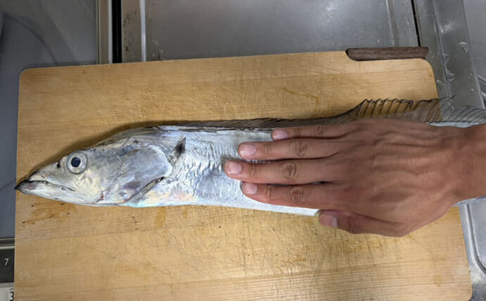 隣は連発なのに自分だけ釣れない？ 針を替えた途端にアタリ連発でタチウオ20本【東京湾】