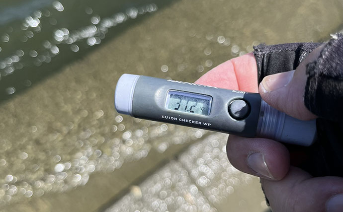 気温34℃の真っ昼間にクロダイ落とし込み釣り！5時間粘って良型4枚【最大46cm】