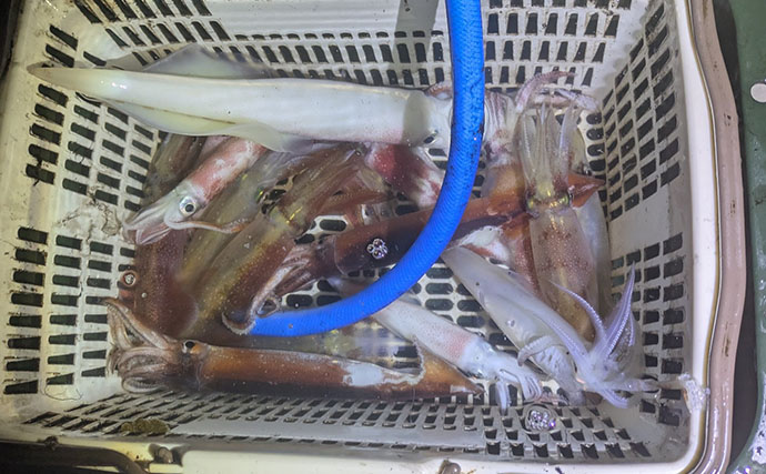 イカメタルで数釣りを捨てて「大剣」狙い！ 水深80mの底ベタ攻略で本命キャッチ