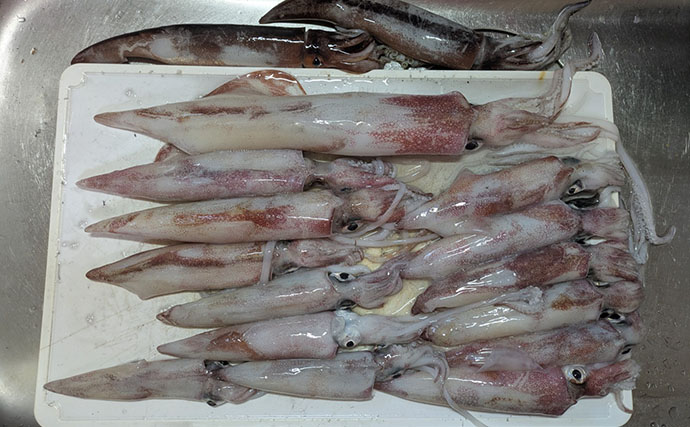 イカメタルで数釣りを捨てて「大剣」狙い！ 水深80mの底ベタ攻略で本命キャッチ