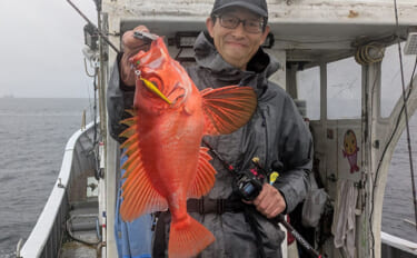 500円の「格安ジグ」でも魚は釣れるのか？ 初対面のマトウダイがヒット…