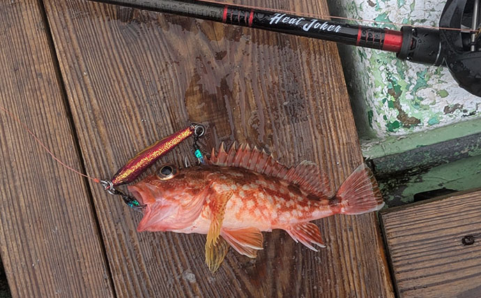500円の「格安ジグ」でも魚は釣れるのか？ 初対面のマトウダイがヒット【三重】