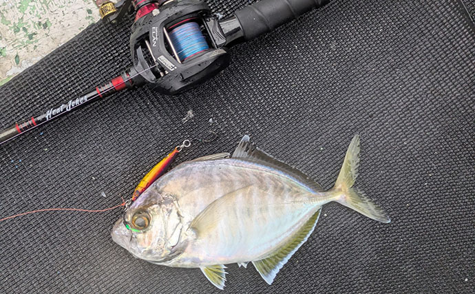 500円の「格安ジグ」でも魚は釣れるのか？ 初対面のマトウダイがヒット【三重】