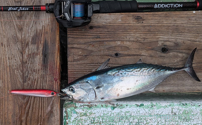 500円の「格安ジグ」でも魚は釣れるのか？ 初対面のマトウダイがヒット【三重】