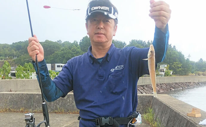 秋の投げキス釣りで意外な発見！ 深場より「超浅場」で20cm超え良型登場【熊本】