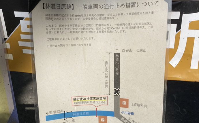 何度流しても食わない「スレたヤマメ」をどう釣る？ オモリを外した途端に18cmがヒット【奥多摩】