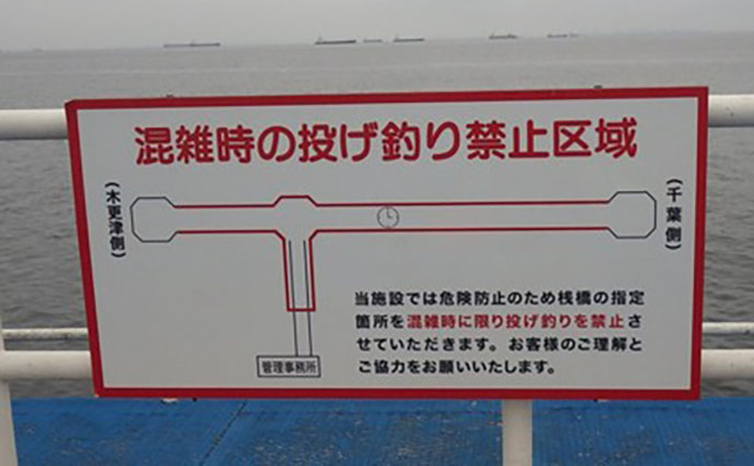 潮止まりは無反応でも潮が動いた途端にサッパ連発！ サビキ釣りで4魚種を手中【千葉】