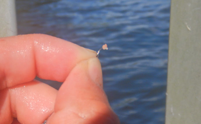 霞ヶ浦のタナゴ釣りで107尾　オオタナゴ＆タイリクバラタナゴの「束釣り」を達成