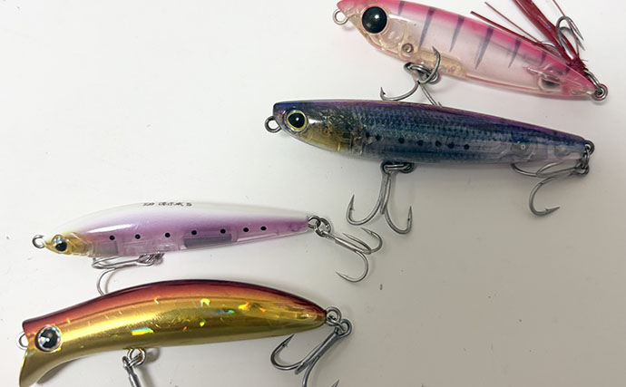 スレた＆低活性のチヌ攻略法　魚視点の「食べやすさ」を意識したルアー選択が重要