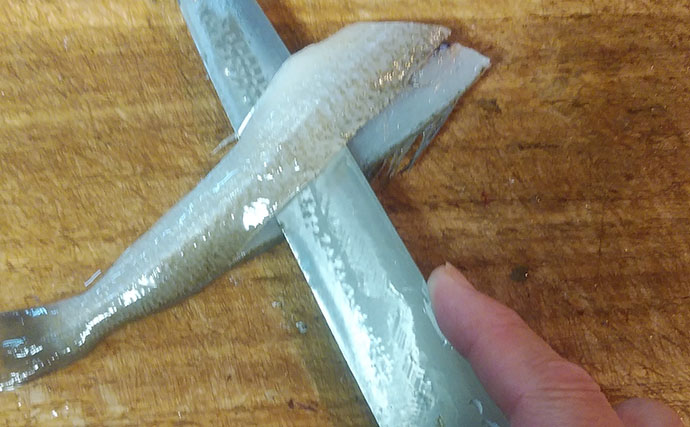 釣魚で作る「イタリアン風」レシピ：キスの天ぷらバジル風味　乾燥バジルをひと振り
