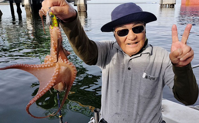伊勢湾ボートエギタコ釣りで船中57匹と快調　岸壁ポイントでフィーバータイム到来