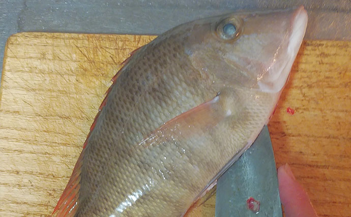 釣魚で作る「夏バテ対策」レシピ：タバメのサッと煮　丸ごと調理がポイント