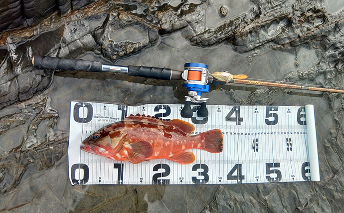 ロックフィッシュを「クランクベイト」で狙ってみた【三重】苦戦の末に36cmアカハタがヒット！