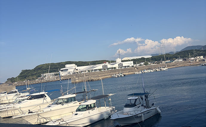夏に週2回釣りに行くとダイエットになるのか試してみた 「3か月で7kg減」を達成！